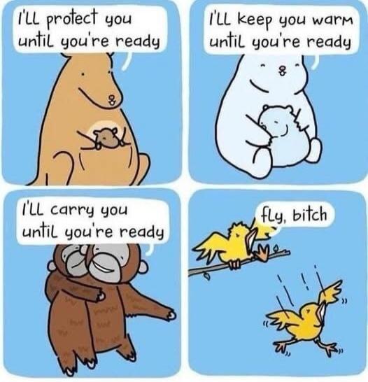I'LL protect you until you're ready. I'LL keep you warm until you're ready. I'LL carry you until you're ready. fly, bitch.