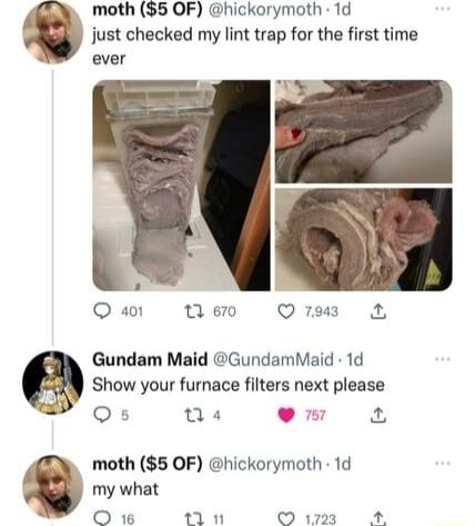 moth 5 OF hickorymoth 1d just checked my lint trap for the first time ever Qan Wew Qe A Gundam Maid GundamMaid 1d Show your furnace filters next please Qs 04 9 moth 5 OF hickorymoth 1d my what O 1M1 w3 4