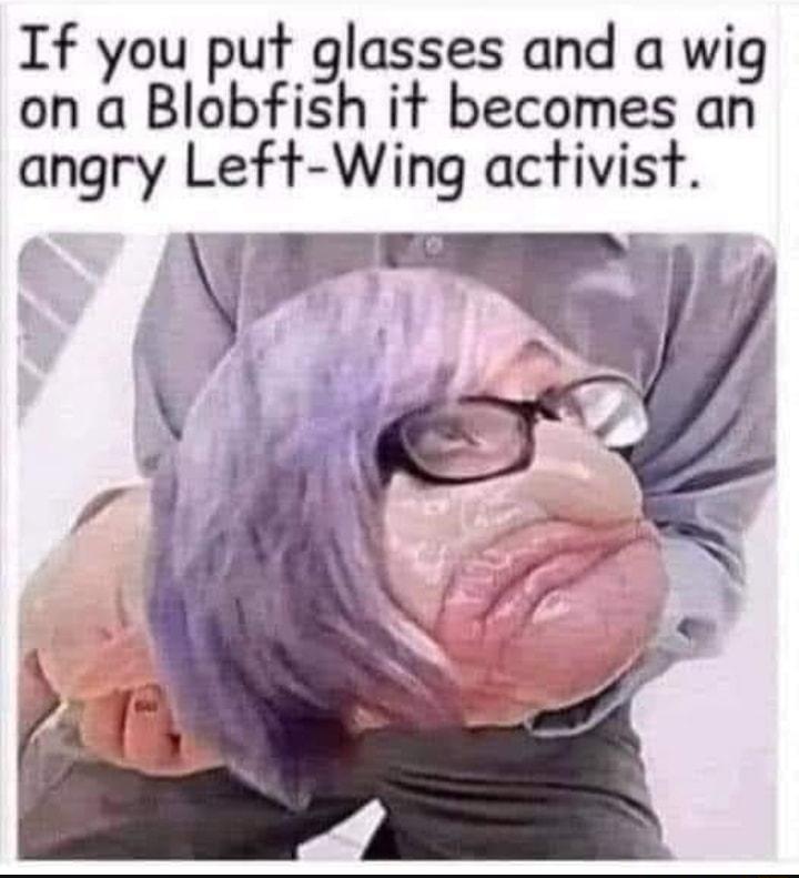 If you put glasses and a wig on a Blobfish it becomes an angry Left Wing activist
