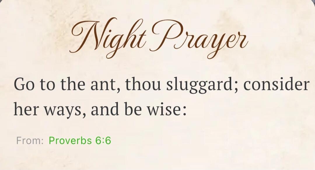 Night Prayer Go to the ant, thou sluggard; consider her ways, and be wise: From: Proverbs 6:6