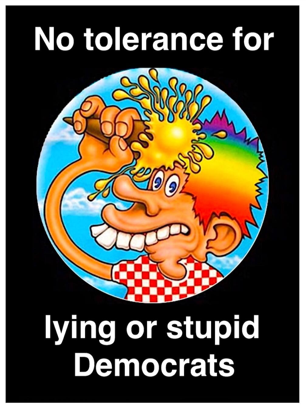 No tolerance for lying or stupid Democrats