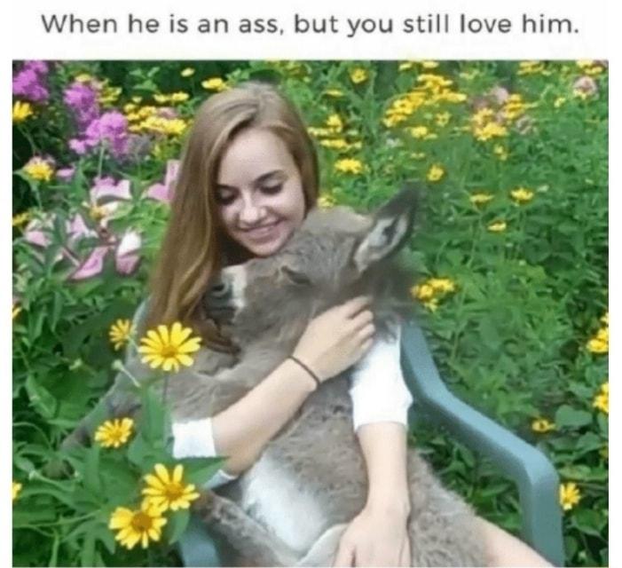 2 ey 3 2 S 5 a 3 a g 2 G s