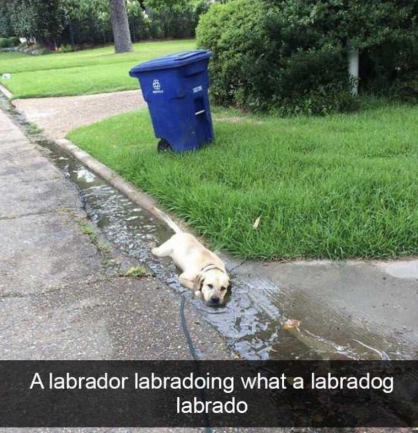 AN ElogTo o i FToT To o gTe E1eTo o