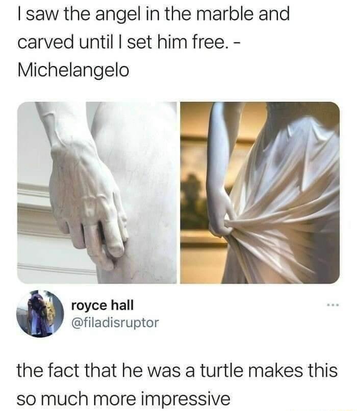 saw the angel in the marble and carved until set him free Michelangelo royce hall filadisruptor the fact that he was a turtle makes this so much more impressive