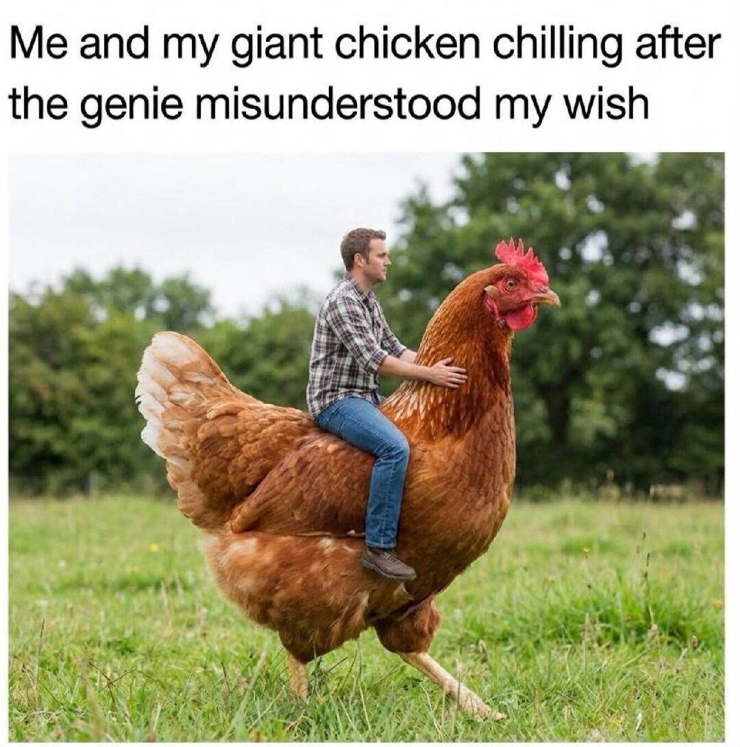 Me and my giant chicken chilling after the genie misunderstood my wish