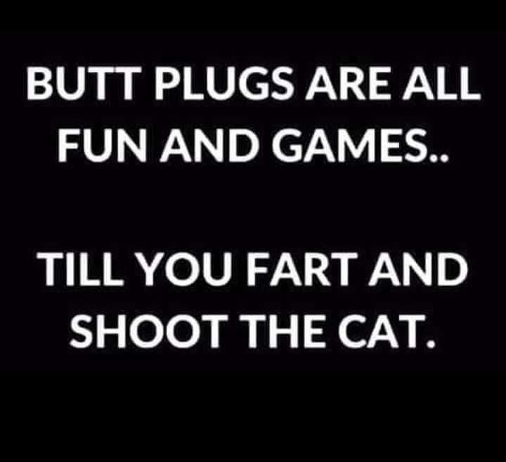 BUTT PLUGS ARE ALL FUN AND GAMES TILL YOU FART AND SHOOT THE CAT