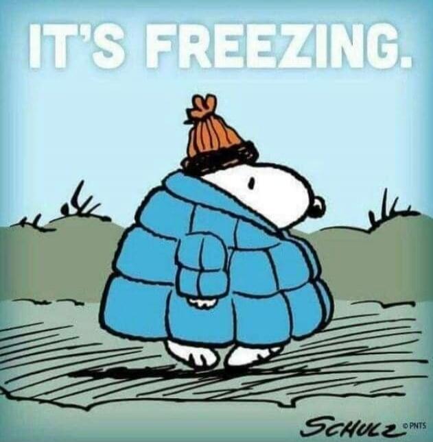 IT'S FREEZING.