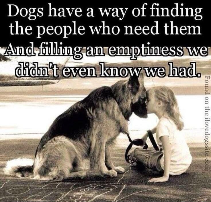 Dogs have a way of finding the people who need them And filling an emptiness we didn't even know we had.