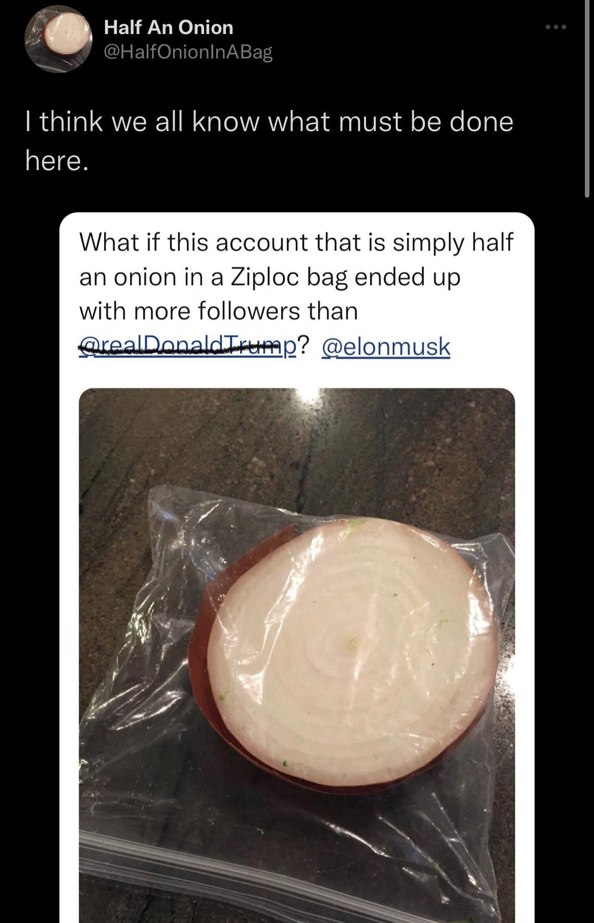 Half An Onion I think we all know what must be done I What if this account that is simply half an onion in a Ziploc bag end with more followers than Delor