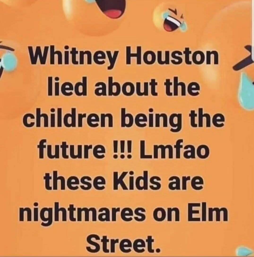 Whitney Houston lied about the children being the future !!! Lmfa o these Kids are nightmares on Elm Street.