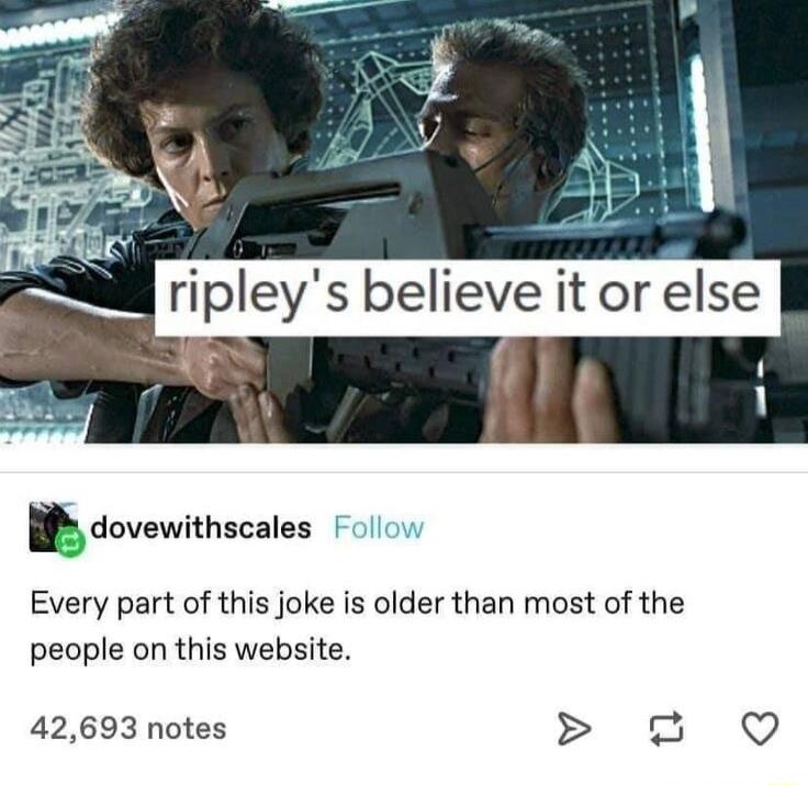 Bl ripleys believe it or else dovewithscales F Every part of this joke is older than most of the people on this website 42693 notes 2 9O