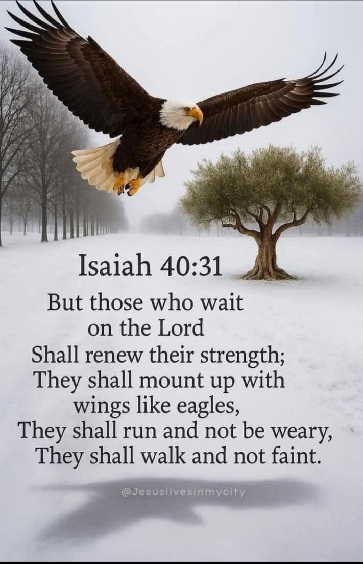 Isaiah 40:31
But those who wait on the Lord
Shall renew their strength;
They shall mount up with wings like eagles,
They shall run and not be weary,
They shall walk and not faint.
