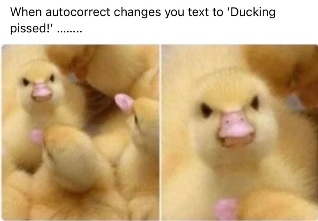 Brett Barlow Just now When autocorrect changes you text to Ducking pissed