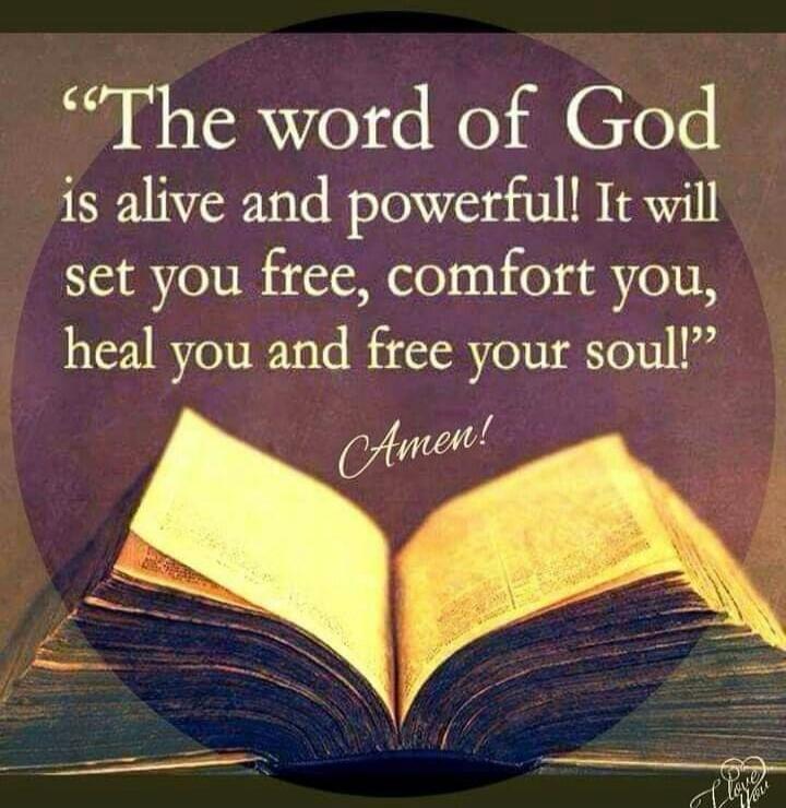 “The word of God is alive and powerful! It will set you free, comfort you, heal you and free your soul!” Amen!