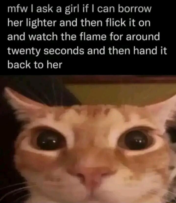 mfw ask a girl if can borrow her lighter and then flick it on and watch the flame for around A N T RGN ET e T back to her
