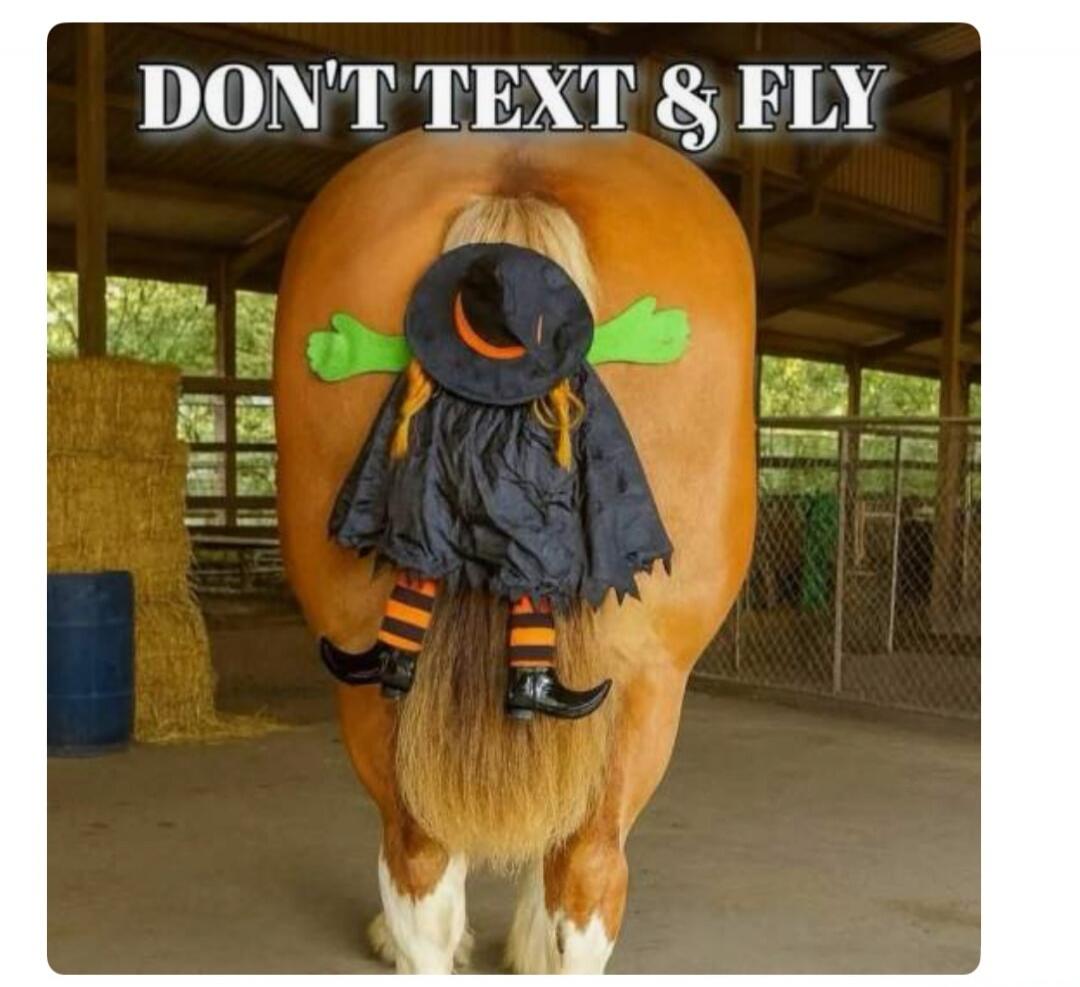 DON'T TEXT & FLY