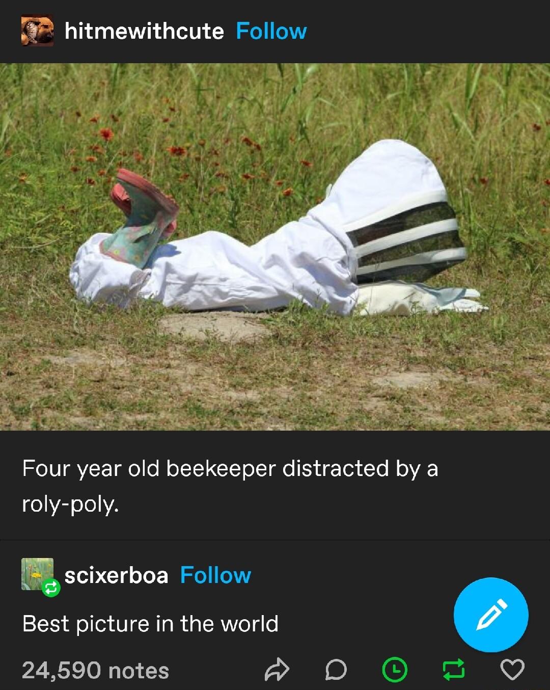 hitmewithcute Follow Four year old beekeeper distracted by a roly poly scixerboa Follow Best picture in the world 24590 notes D