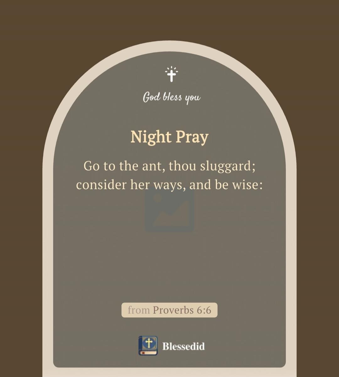 God bless you Night Pray Go to the ant, thou sluggard; consider her ways, and be wise: from Proverbs 6:6 Blessedid