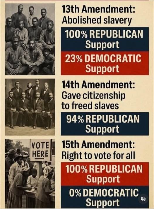 13th Amendment: Abolished slavery
100% REPUBLICAN Support
23% DEMOCRATIC Support

14th Amendment: Gave citizenship to freed slaves
94% REPUBLICAN Support

15th Amendment: Right to vote for all
100% REPUBLICAN Support
0% DEMOCRATIC Support