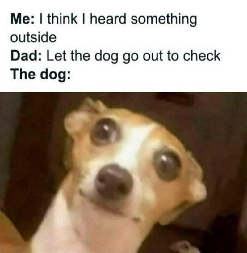 Me: I think I heard something outside Dad: Let the dog go out to check The dog: