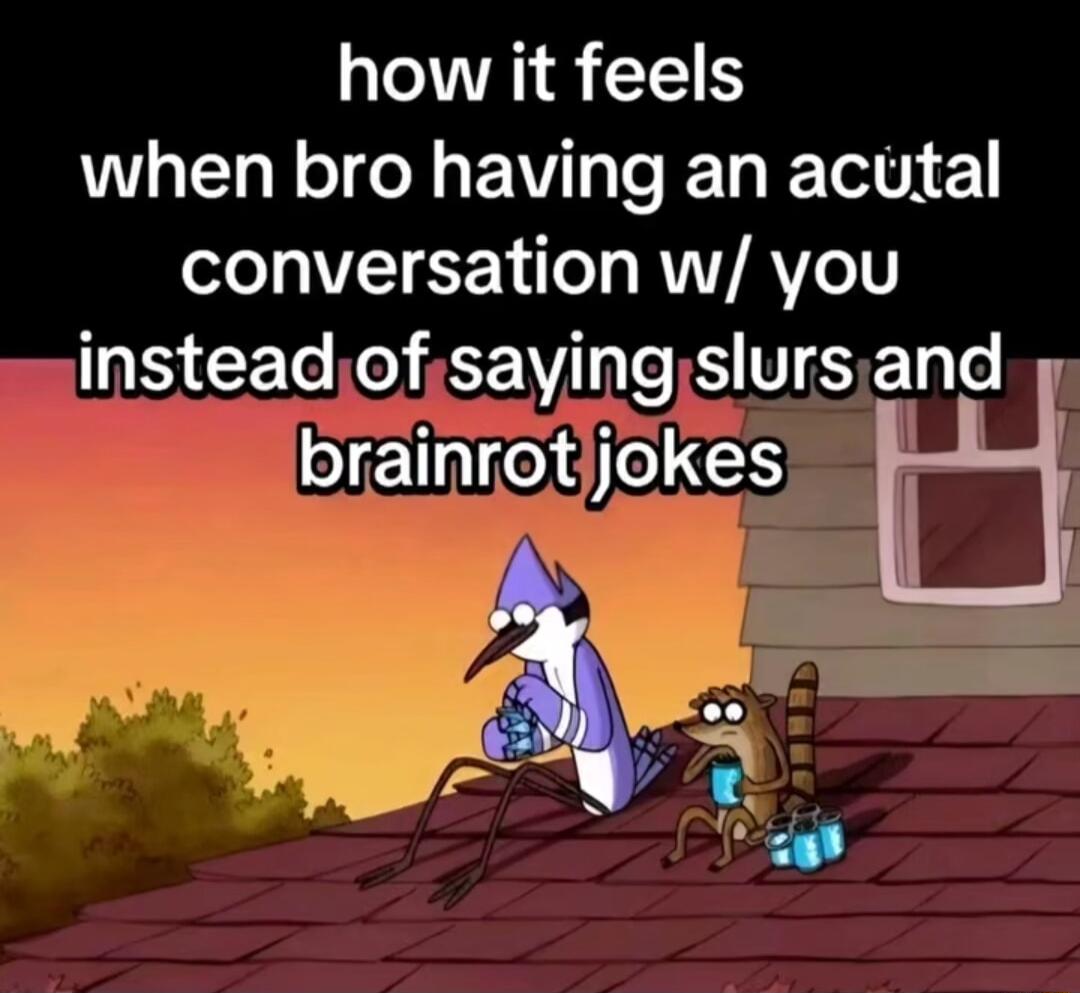 how it feels LELL I EW L ELETEE conversation w you insteadofisayingslursand brainrotjjokes w