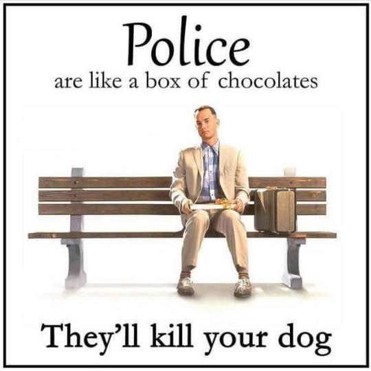 Police are like a box of chocolates Theyll kill your dog
