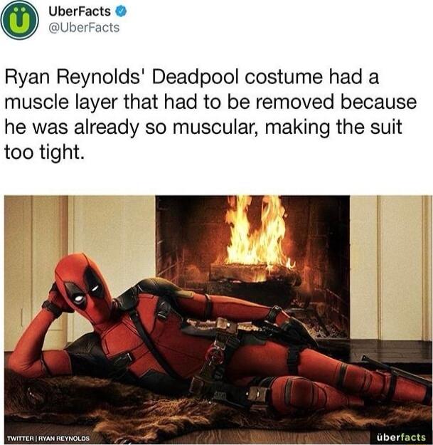 UberFacts UberFact Ryan Reynolds Deadpool costume had a muscle layer that had to be removed because he was already so muscular making the suit too tight