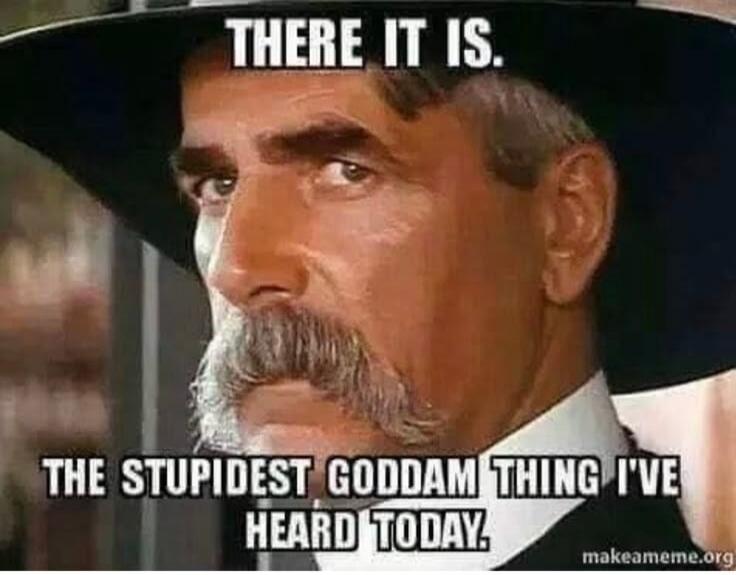 THERE IT IS. THE STUPIDEST GODDAM THING I'VE HEARD TODAY.