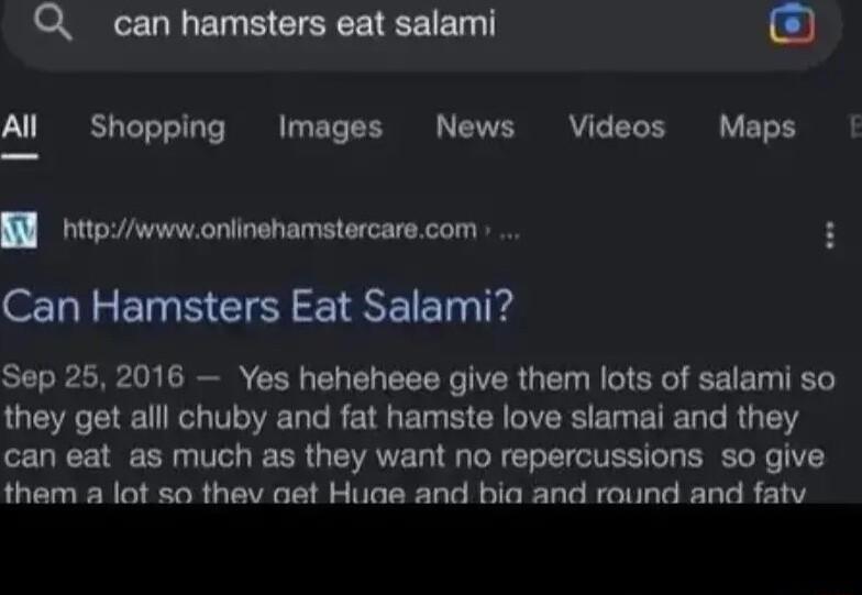 Q can hamsters eat salami O Al Shopping Images News Videos Maps l nhttpwwwonlinehamstercarecom LB NG I REET Sep 252016 Yes heheheee give them lots of salami so they get alll chuby and fat hamste love slamai and they can eat as much as they want no repercussions so give them a lot so thev aat Hiae and bia and round and fatv