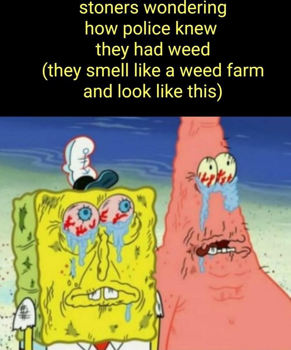 stoners wondering how police knew they had weed GEENCENICERNEE R and look like this