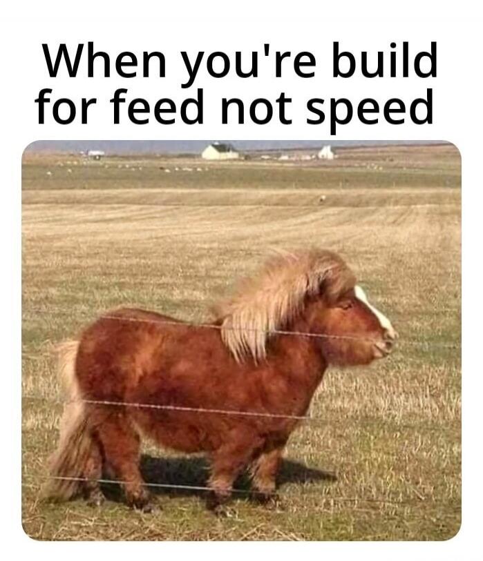 When you're build for feed not speed