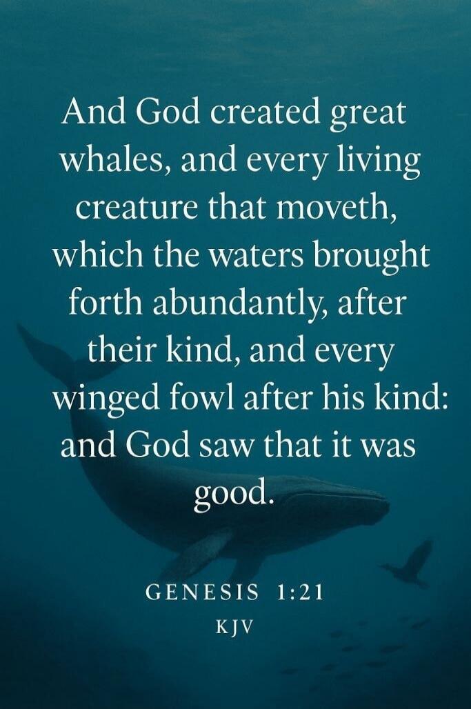 And God created great whales, and every living creature that moveth, which the waters brought forth abundantly, after their kind, and every winged fowl after his kind: and God saw that it was good. Genesis 1:21 KJV