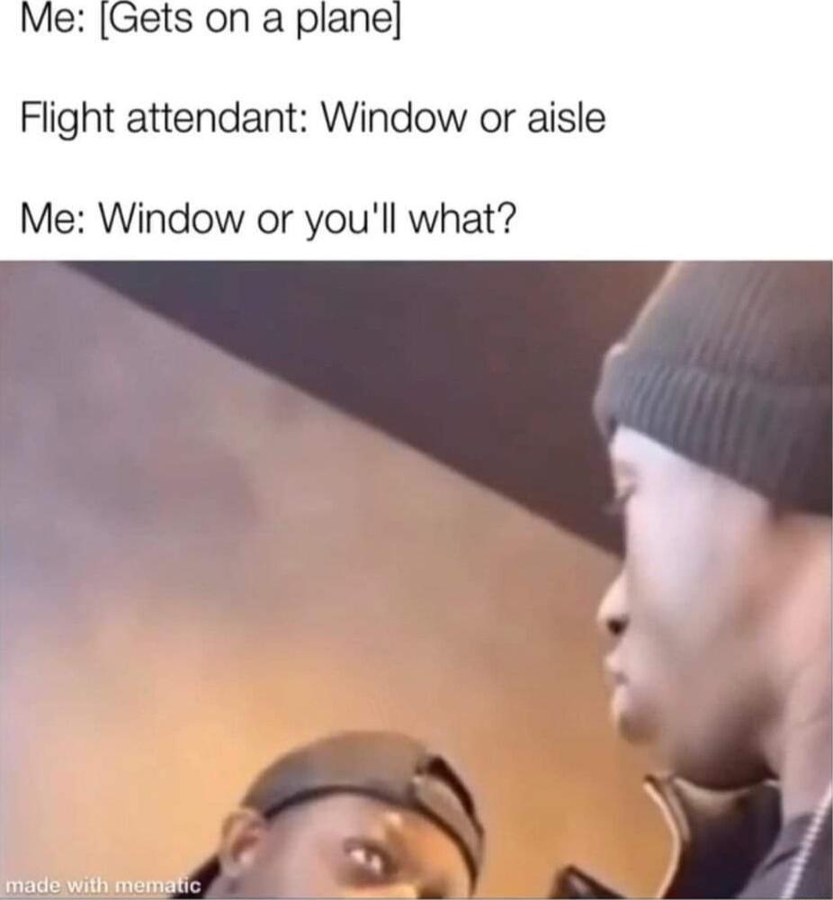 Flight attendant Window or aisle Me Window or youll what madows