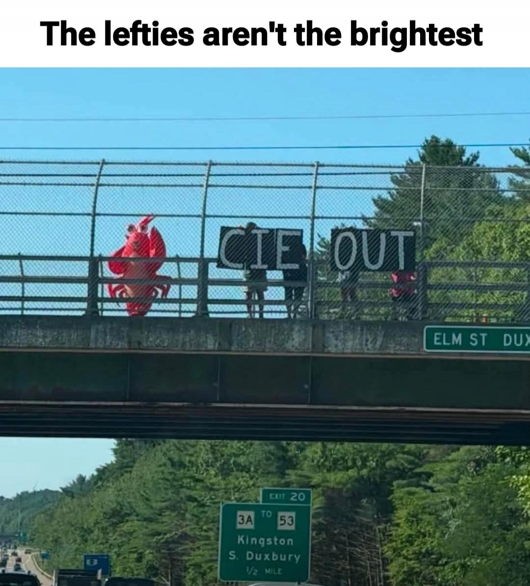 The lefties aren't the brightest. People on a bridge holding signs that appear to say 'CIE OUT' and one person in a red lobster costume. Highway signs below indicate 'EXIT 20', '3A TO 53', 'Kingston S. Duxbury 1/2 MILE', and 'ELM ST DUX'.