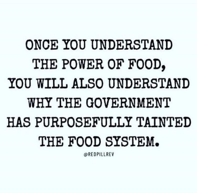 ONCE YOU UNDERSTAND THE POWER OF FOOD, YOU WILL ALSO UNDERSTAND WHY THE GOVERNMENT HAS PURPOSEFULLY TAINTED THE FOOD SYSTEM. @REDPILLREV