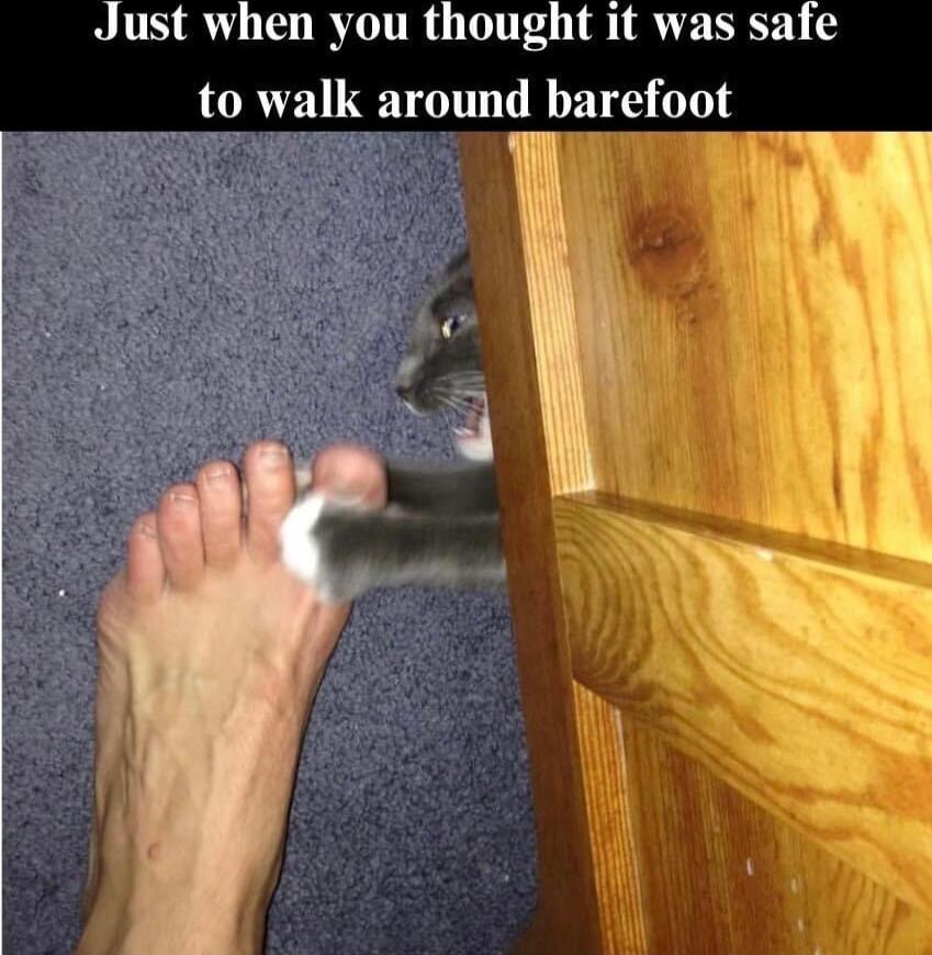 Just when you thought it was safe o walk around barefoot T