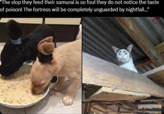 The slop they Teed their samurai is so foul they do not notice the taste of poison The fortress will be completely unguarded by nightfall