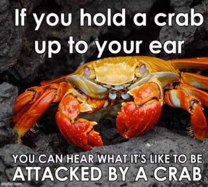 If you hold a crab up to your ear YOU CAN HEAR WHAT IT'S LIKE TO BE ATTACKED BY A CRAB