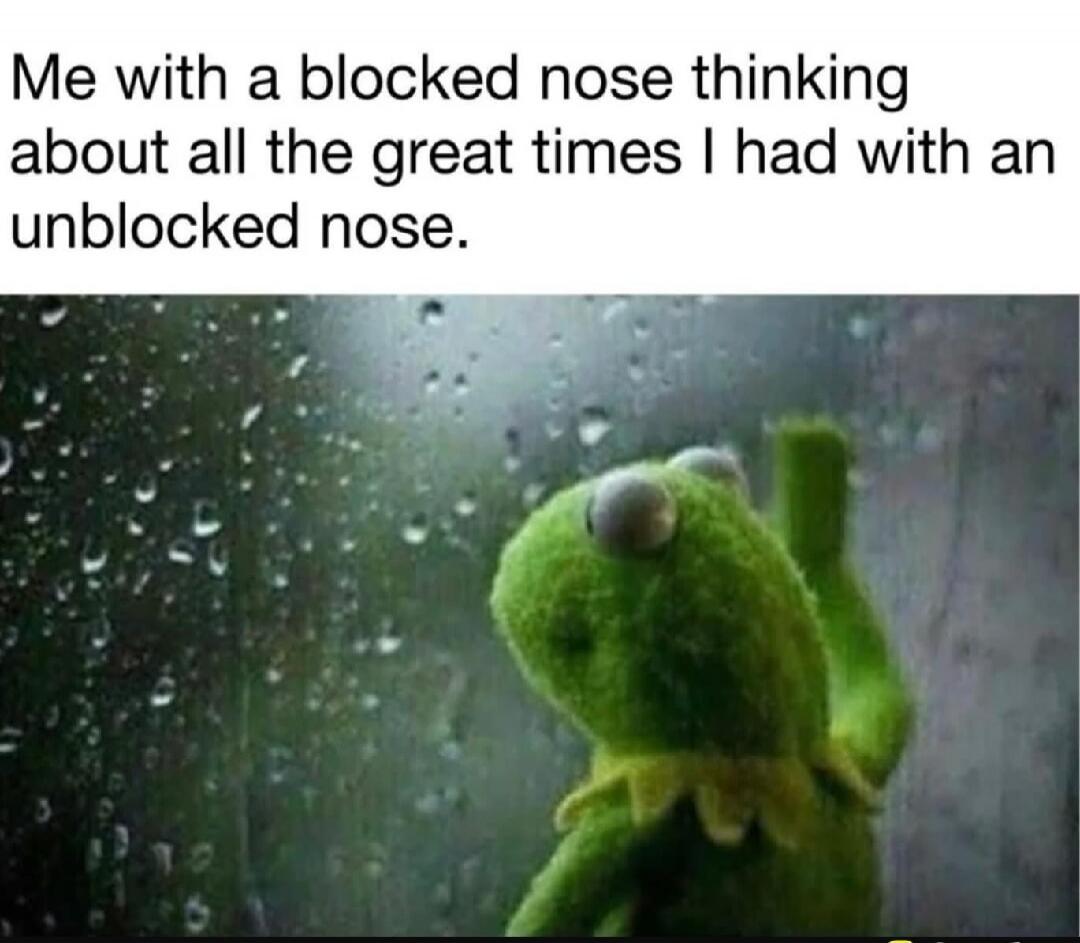 Me with a blocked nose thinking about all the great times I had with an unblocked nose.