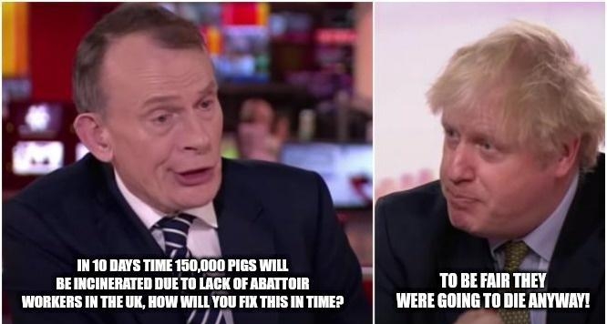 IN10 Islm PIGS WILL BEINCINERATED DUE TO LACK OF ARATTOIR TO BE FAIR THEY WORKERS IN THE UK HOW WILL YOU FIX THIS IN TIME WERE GOING TO DIE ANYWAY