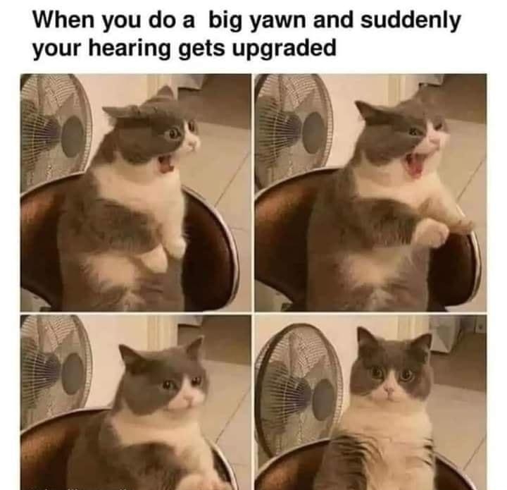 When you do a big yawn and suddenly your hearing gets upgraded