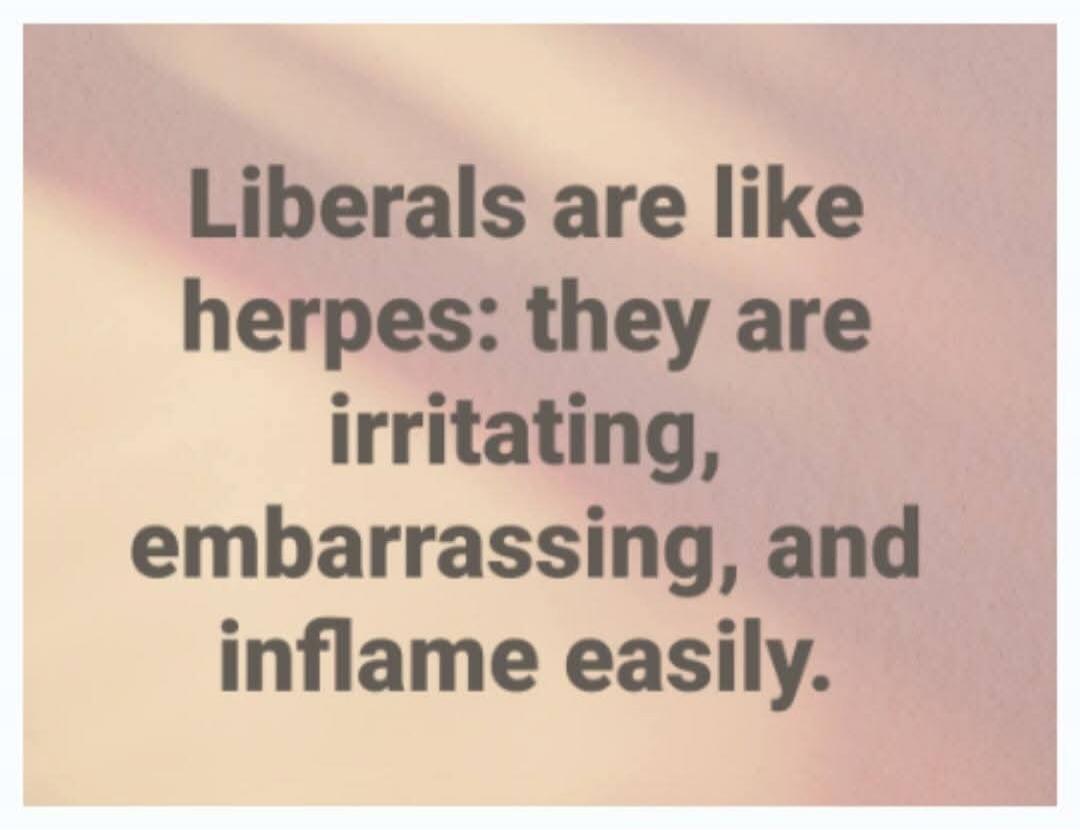 Liberals are like herpes: they are irritating, embarrassing, and inflame easily.