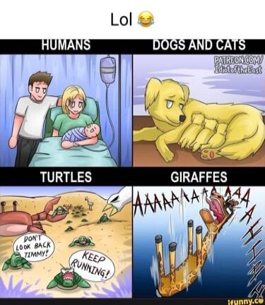 TURTLES