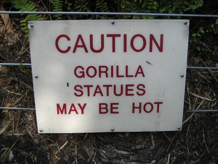 CAUTION GORILLA STATUES MAY BE HOT