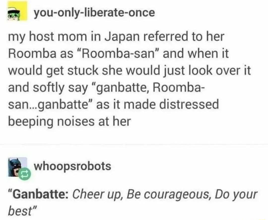 a you only liberate once my host mom in Japan referred to her Roomba as Roomba san and when it would get stuck she would just look over it and softly say ganbatte Roomba sanganbatte as it made distressed beeping noises at her whoopsrobots Ganbatte Cheer up Be courageous Do your best