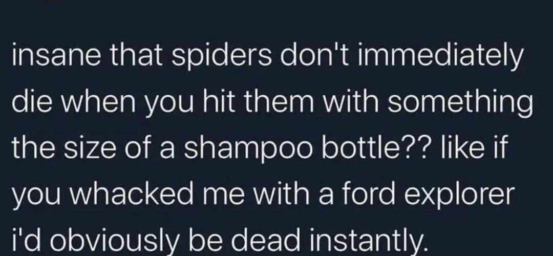 insane that spiders dont immediately die when you hit them with something the size of a shampoo bottle like if W NRW E el Naa RN I R o o RVl o 18 id obviously be dead instantly