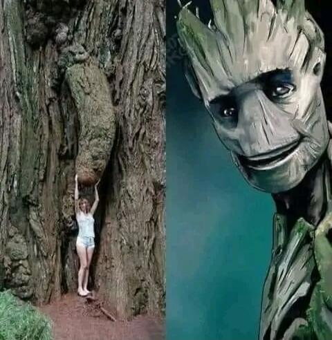 Girl hanging from a tree next to a large monster-like figure (cartoon).