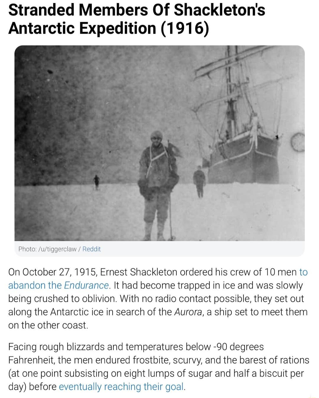Stranded Members Of Shackletons Antarctic Expedition 1916 On October 27 1915 Emest Shackleton ordered his crew of 10 men to the Endurance It had become trapped in ice and was slowly being crushed to oblivion With no radio contact possible they set out slong the Antarctic ice in search of the Aurora a ship set to meet them on the other coast Facing rough blizzards and temperatures below 90 degrees 