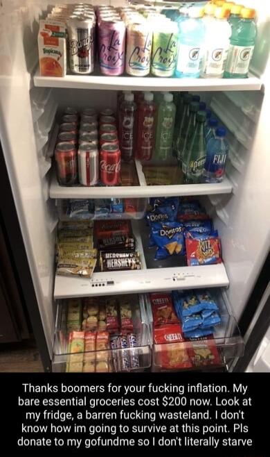 Thanks boomers for your fucking inflation My bare essential groceries cost 200 now Look at my fridge a barren fucking wasteland dont know how im going to survive at this point Pls donate to my gofundme so dont literally starve