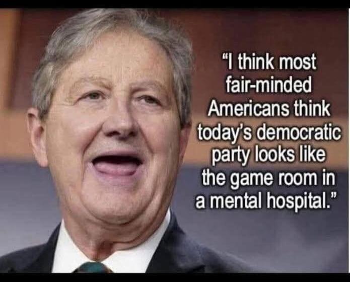 I think most fair-minded Americans think today's democratic party looks like the game room in a mental hospital.